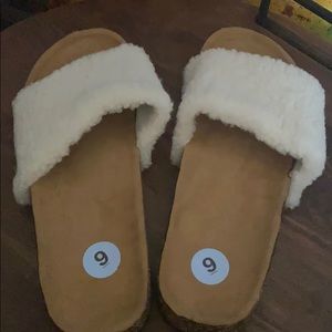 White fluffy Sandler’s